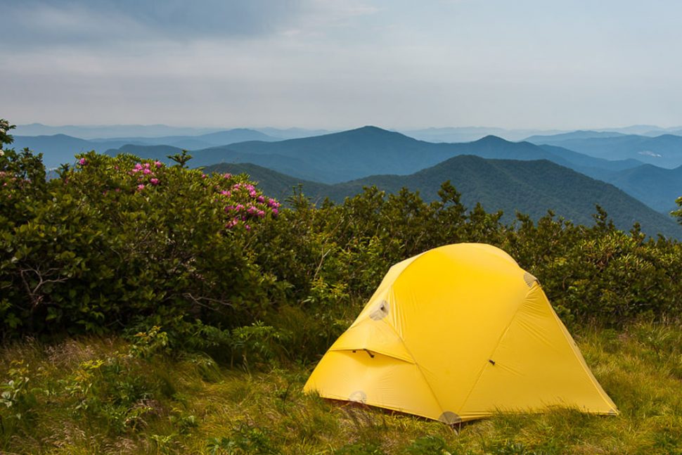 RoanMtn-20110618-466