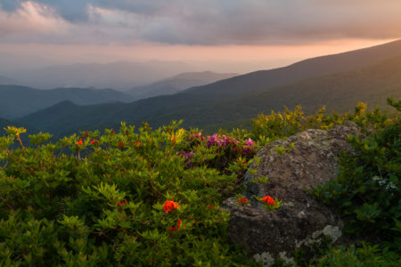 Roan Mountain