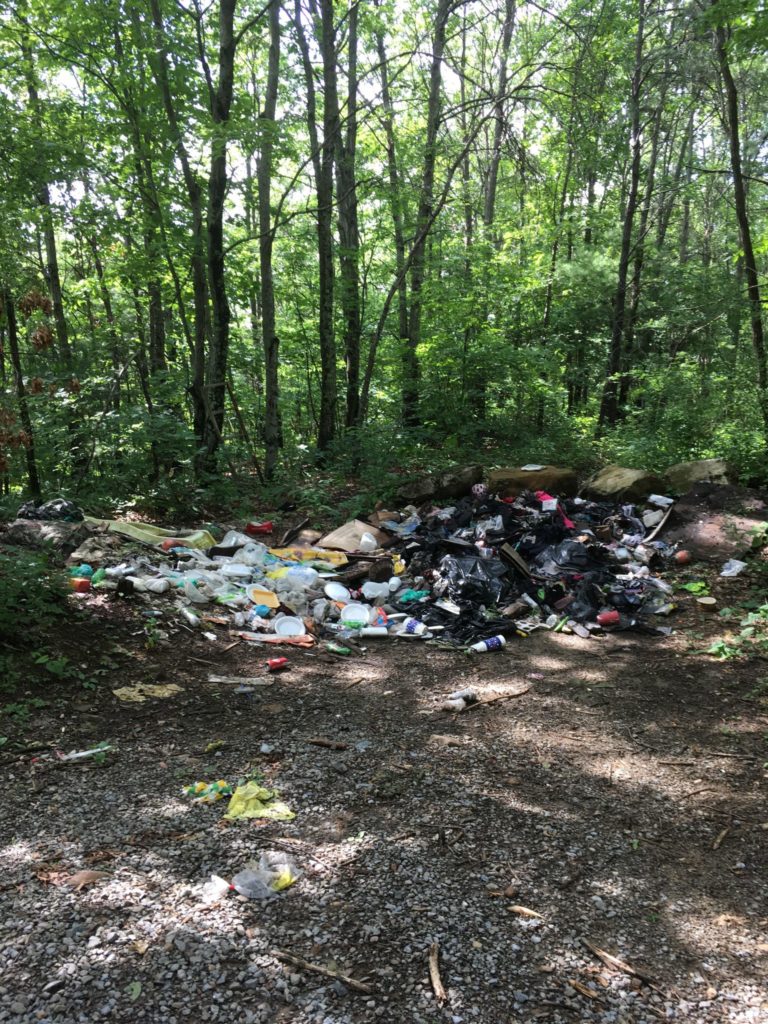 Dump Site