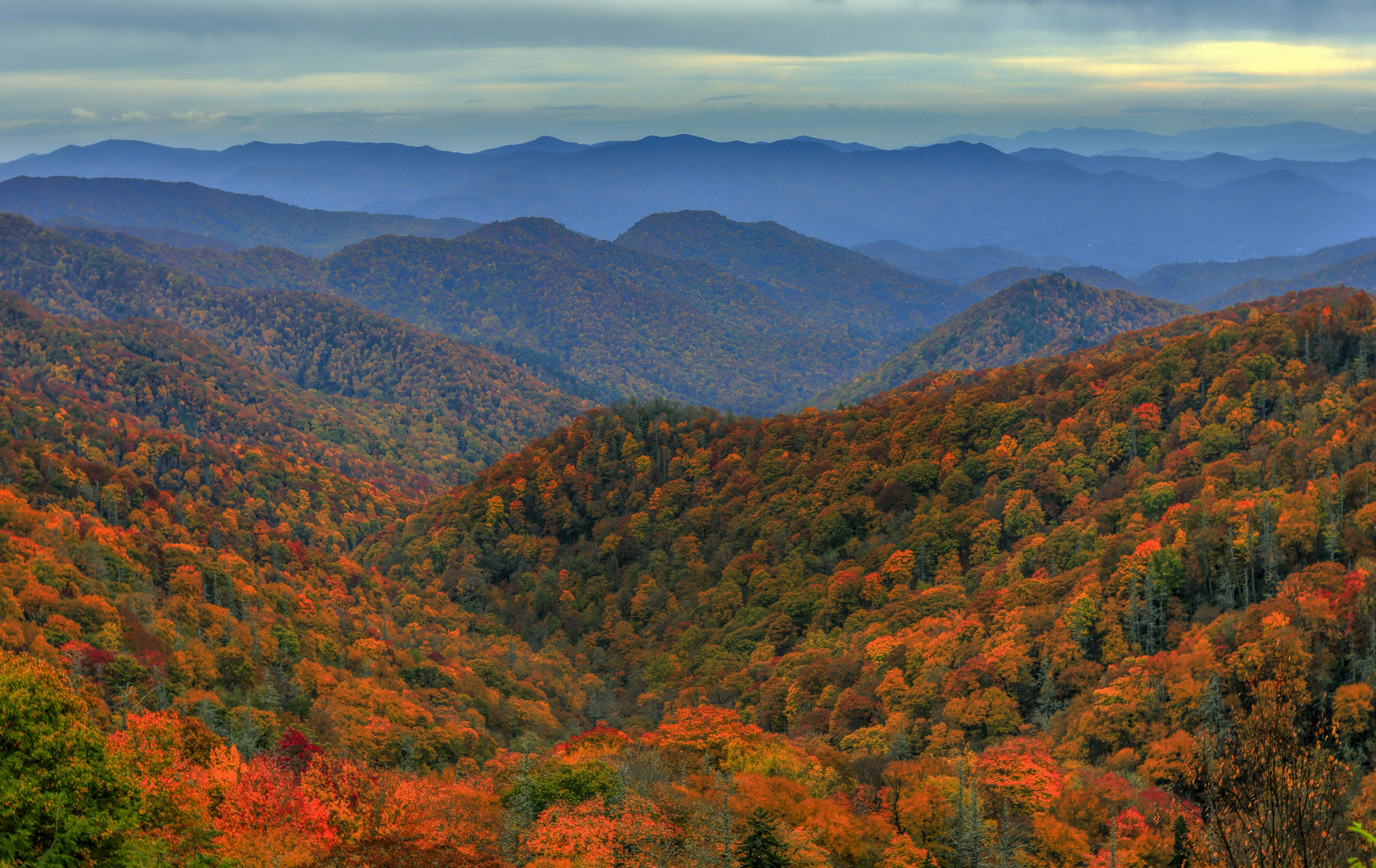 Home Page - Northeast Tennessee