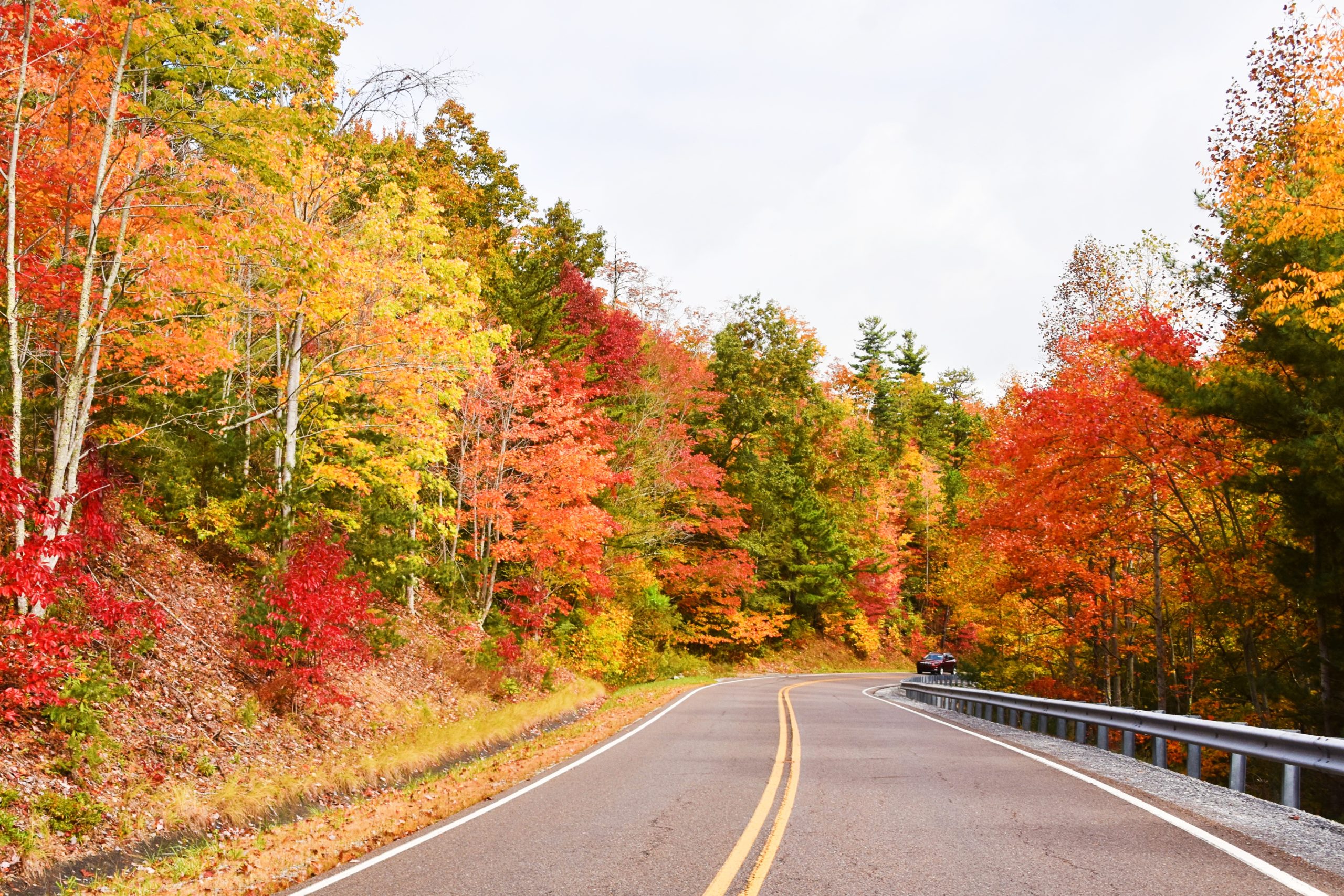 Fall Views Worth Peeping Northeast Tennessee